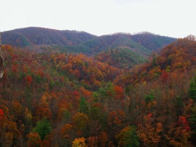View From Big Pine Ridge
View of the Devil's Fork,
Ascending Big Pine Ridge Knob.
October, 2011
