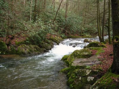 Swimming Hole
on Clarks Creek,
3-11-11
