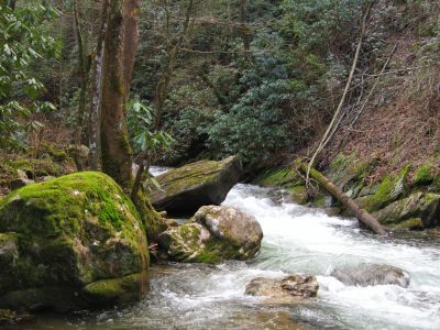 Clarks Creek
3-11-11
