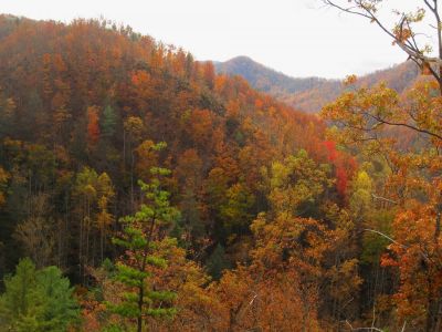 View From Big Pine Ridge
View of the 'other part' of Big Pine ridge.
Ascending Big Pine Ridge Knob.
October, 2011
