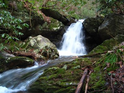 8-Foot Falls
Nice, unnamed waterfall on Sill Branch,
3-11-2011
