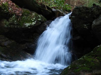 8-Foot Falls
Nice, unnamed waterfall on Sill Branch,
3-11-2011
