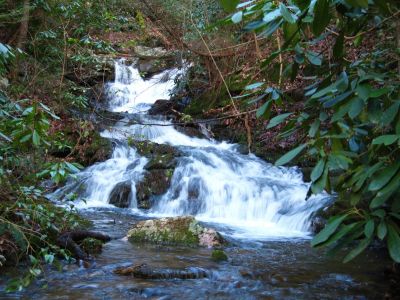 Cascading Falls
Nice long, and fairly tall set of falls on Sill Branch below the 'Lower Falls'.
3-11-2011
