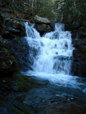 20-foot Waterfall
These impressive, unnamed falls are below the 'Lower Sill Branch Falls'.
3-11-2011
