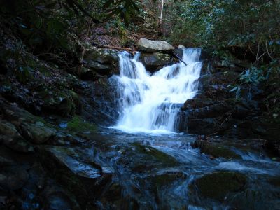 20-foot Waterfall
These impressive, unnamed falls are below the 'Lower Sill Branch Falls'.
3-11-2011
