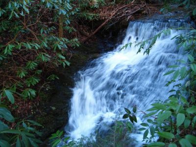 Cascades On Sill Branch
3-11-2011
