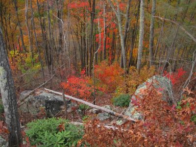 Big Pine Ridge Knob
Ascending Big Pine Ridge Knob.
October, 2011

