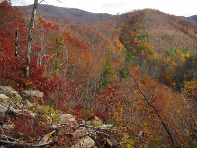View From Big Pine Ridge
View of the Land-Bridge and Big Pine Ridge Knob #2 ('The Pyramid').
Ascending Big Pine Ridge Knob.
October, 2011

