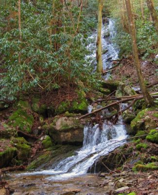 Longarm Branch Falls
3-12-11
