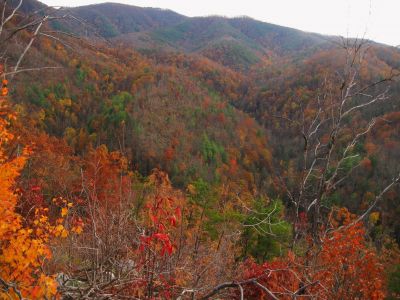 View From Big Pine Ridge
View of the Devil's Fork,
October, 2011
