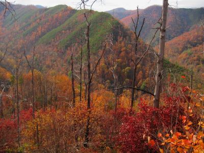 View From Big Pine Ridge
Longarm Ridge.
October, 2011

