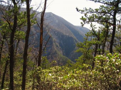 View From Chigger Ridge Overlook
Buckeye Falls in the distance...
3-12-11
