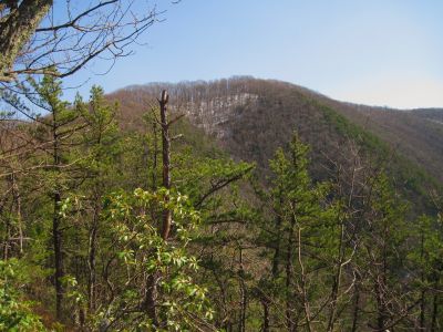 Chigger Ridge
Near the top of Rich Mountain.
3-12-11
