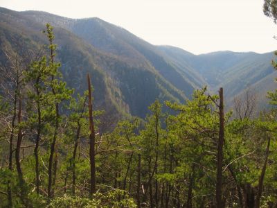 View From Chigger Ridge Overlook
View of Buckeye Falls and the Butte of Rich Mountain where it collides with Sampson  Mountain in the distance
