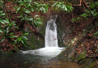 Hell Hollow Falls
2-21-2019
