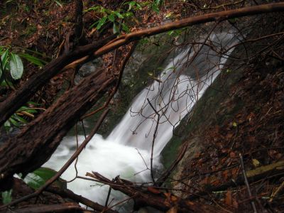 Hell Hollow Falls
2-21-2019
