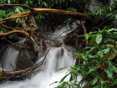 Cascades on Hell Hollow
2-21-2019
