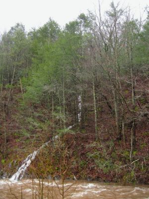 Flood Waters in Clarks Creek
2-23-2019
