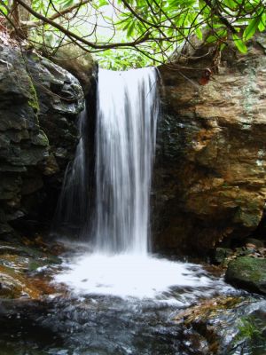 Lower Jones Branch Falls
A 10-foot plunge over a boulder into a pool, surrounded by laurels,
Lower Jones Branch Falls,
3-19-2011 

