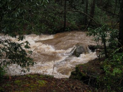 Flood Waters in Clarks Creek
2-23-2019
