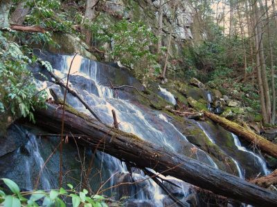 Jones Branch Falls
View from the boulder on left side of falls, about halfway up,
3-19-2011
