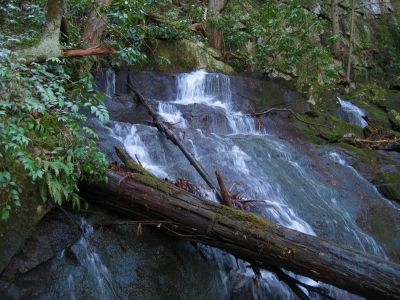 Jones Branch Falls
Just below the top...
3-19-2011
