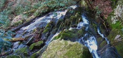 Jones Branch Falls
View from the top,
3-19-2011
