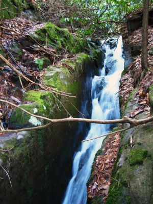 Jones Branch Falls--'The Chasm'
The upper part of 'The Chasm' that feeds Jones Branch Falls,
3-19-2011
