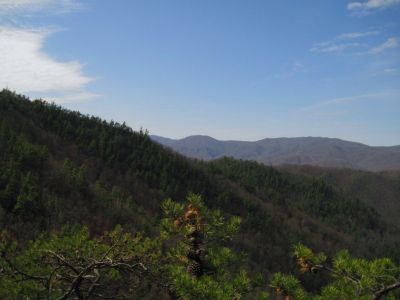 View From The Jones Branch Overlook
Jones Branch Knob, 3-19-2011
