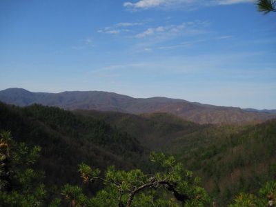 View From The Jones Branch Overlook
Jones Branch Knob, 3-19-2011
