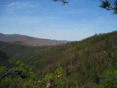 View From The Jones Branch Overlook
Jones Branch Knob, 3-19-2011
