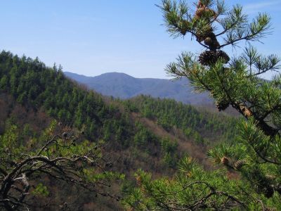 View From The Jones Branch Overlook
Jones Branch Knob, 3-19-2011
