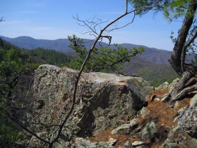 Jones Branch Overlook
Top of the Overlook Boulder and some of the view...
Jones Branch, 3-19-2011
