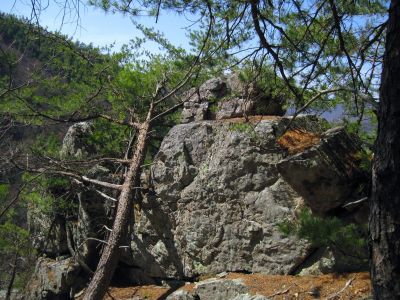 Another Large Boulder
Just below the Overlook Boulder,
Jones Branch, 3-19-2011
