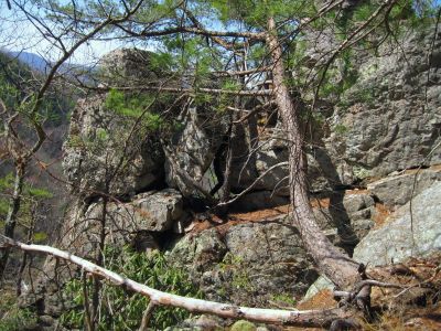Another Large Boulder
Just below the Overlook Boulder,
Jones Branch, 3-19-2011
