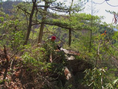 Jones Branch Overlook
'Fireball' on the overlook,
3-19-2011
