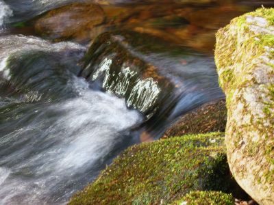 Sparkling Cascade
Sunlight forming patterns on a small cascade in Jones Branch, 3-19-2011
