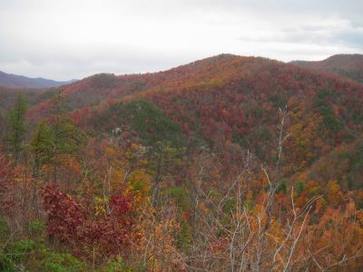 View From Big Pine Ridge Knob
The Bony Elbow Knob, Part of the Meat-Grinder Ridge,
October, 2011

