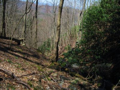 Descending Into The Devils Fork
Upper Devils Fork Valley, 
4-3-2011
