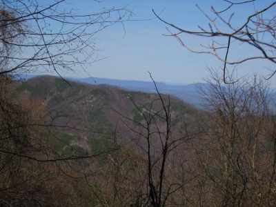 View Of Sampson Mountain
From the Upper Devils Fork Valley, 
4-3-2011

