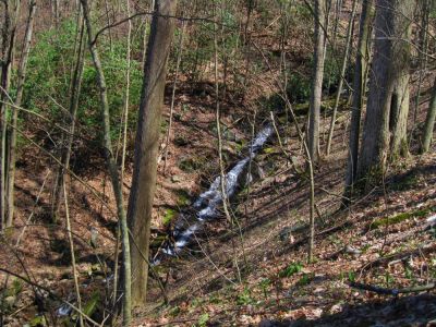 Cascades In Devils Fork
Surprisingly nice cascades high up on the mountain in the upper Devils Fork Valley, 4-3-2011
