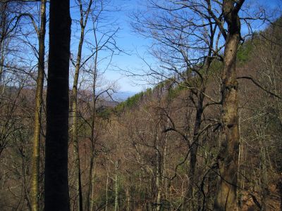 Ridge 
One of the ridge 'forks' in the upper Devils Fork Valley, 4-3-2011
