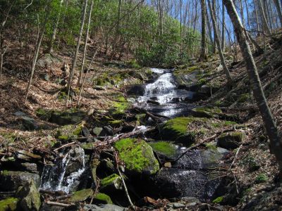 Cascades In Devils Fork
Incredible cascades high up on the mountain in the upper Devils Fork Valley, 4-3-2011
