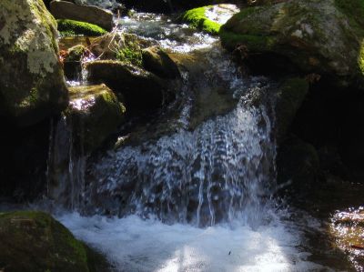 Cascades In Devils Fork
small cascade above Lilybeth Falls in the Devils Fork Valley, 4-3-2011
