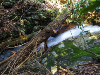 Cascades In Devils Fork
Cascades just above Lilybeth Falls, 
4-3-2011
