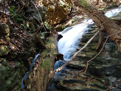 Cascades In Devils Fork
Cascades just above Lilybeth Falls, 
4-3-2011
