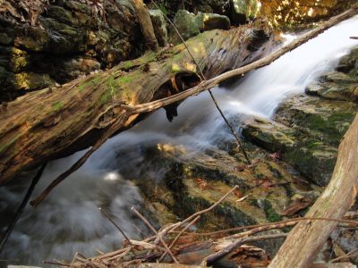 Cascades In Devils Fork
Cascades just above Lilybeth Falls, 
4-3-2011
