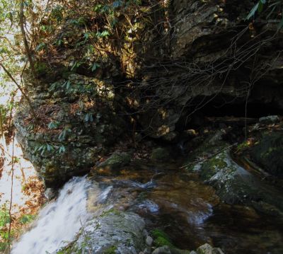 Lilybeth Falls
View from top, Lilybeth Falls, aka 'Upper Devils Fork Falls',
4-3-2011
