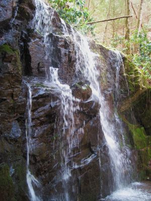 Upper Level of Middle Simmons Branch Falls
top part of a 3-tier set of falls.
April, 2010
