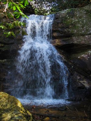 Lilybeth Falls
Lilybeth Falls, aka 'Upper Devils Fork Falls',
4-3-2011

